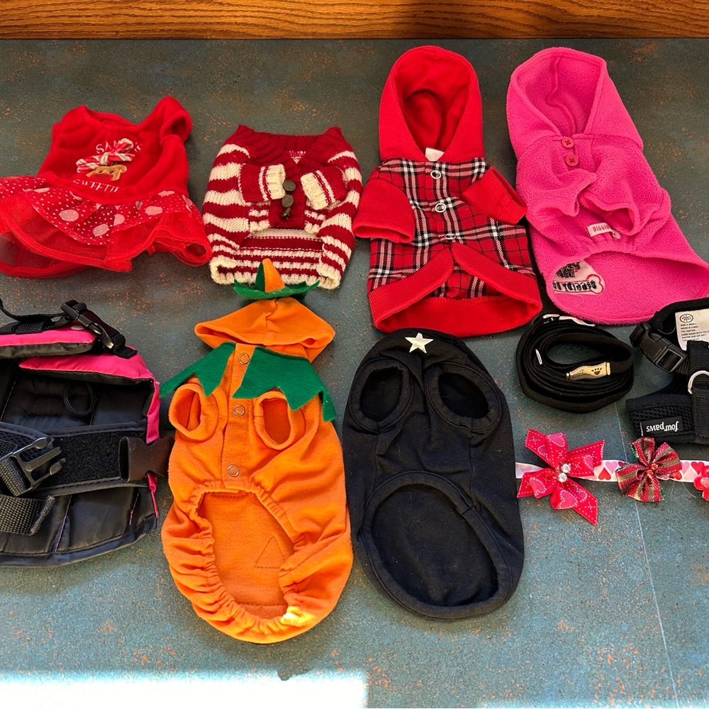 Misc dog clothes and accessories